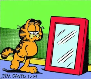 A Cartoon Of Garfield Looking At His Reflection In A Mirror