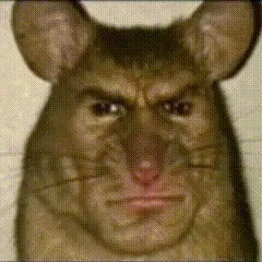A Close Up Of A Rat With A Man 'S Face On Its Face