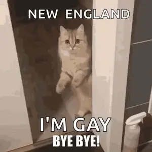 A Cat Is Standing On Its Hind Legs In A Bathroom Doorway .