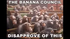 A Bunch Of Chimpanzees Are Sitting In A Classroom .