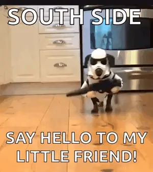 A Dog In A Storm Trooper Costume Is Walking In A Kitchen