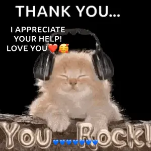 A Cat Wearing Headphones Says Thank You I Appreciate Your Help Love You You Rock