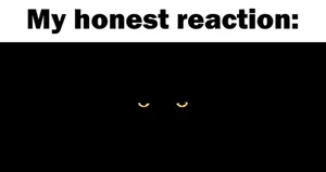 A Pixelated Image Of A Circle With The Words " My Honest Reaction " Below It
