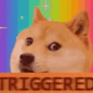 A Doge Is Looking Out Of A Box With The Word Triggered Written On It .