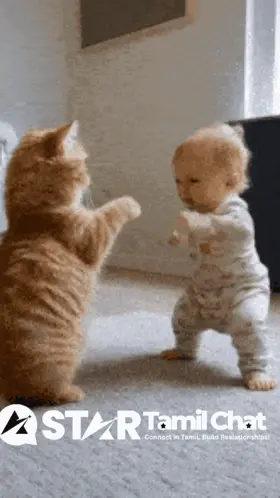 A Cat And A Baby Are Standing Next To Each Other With Star Tamil Chat In The Bottom Right Corner