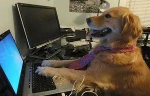 I Have No Idea What I'm Doing